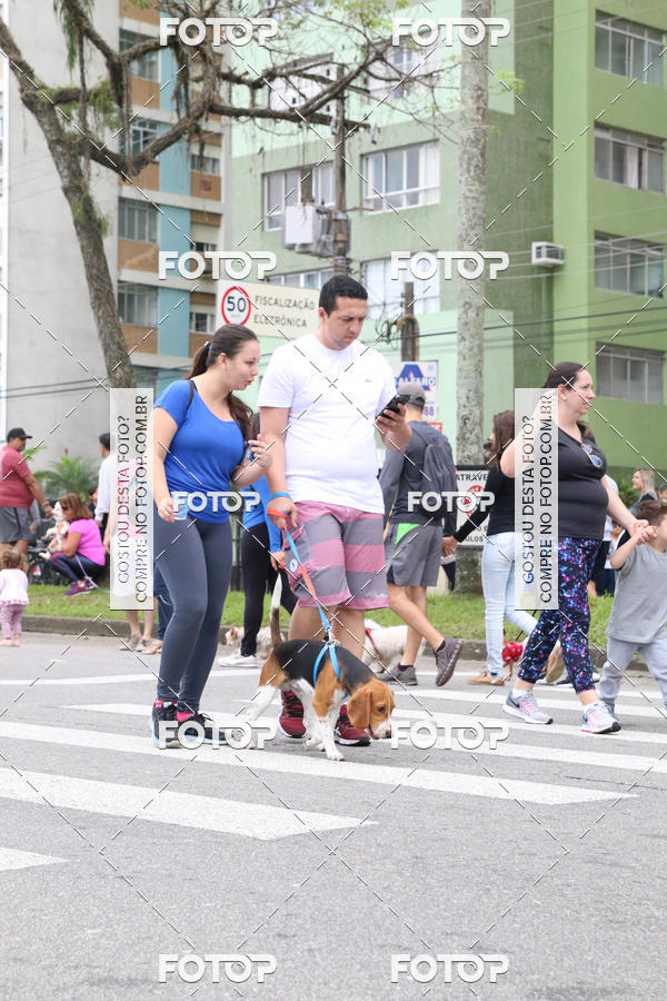 Buy your photos of the event13� C�ominhada - Santos on Fotop