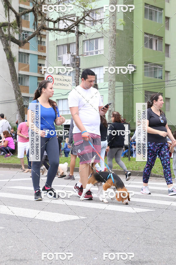 Buy your photos of the event13� C�ominhada - Santos on Fotop