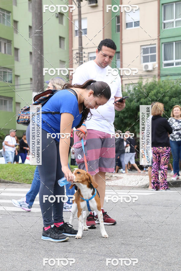 Buy your photos of the event13� C�ominhada - Santos on Fotop