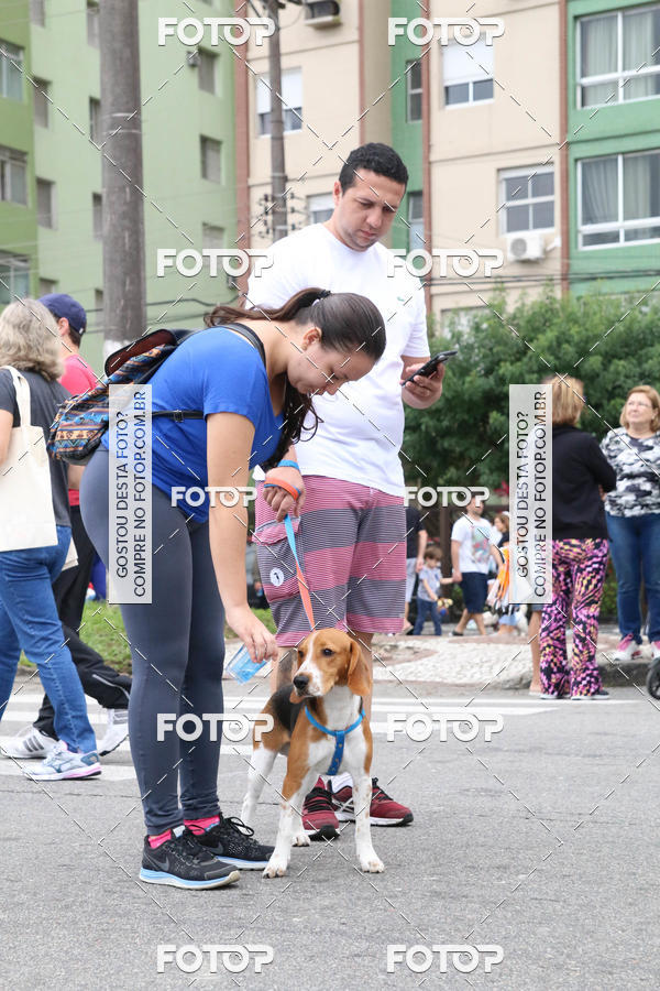 Buy your photos of the event13� C�ominhada - Santos on Fotop