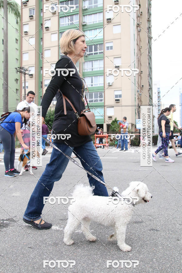 Buy your photos of the event13� C�ominhada - Santos on Fotop