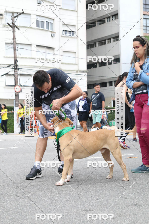 Buy your photos of the event13� C�ominhada - Santos on Fotop