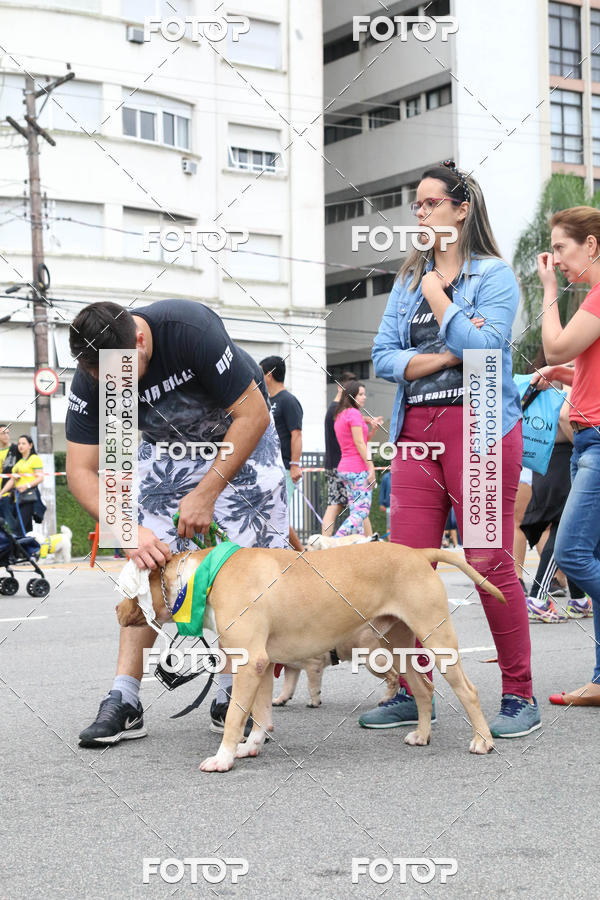 Buy your photos of the event13� C�ominhada - Santos on Fotop