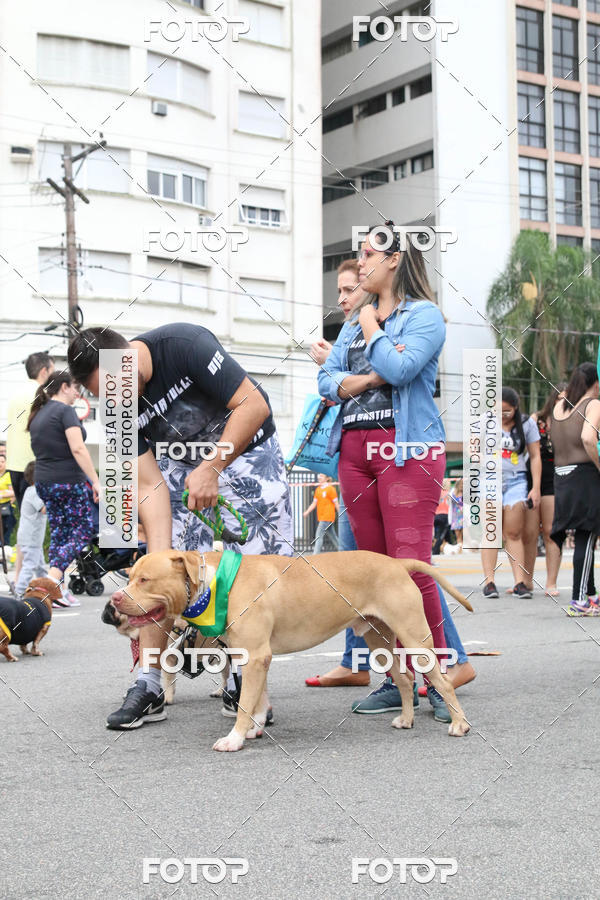 Buy your photos of the event13� C�ominhada - Santos on Fotop