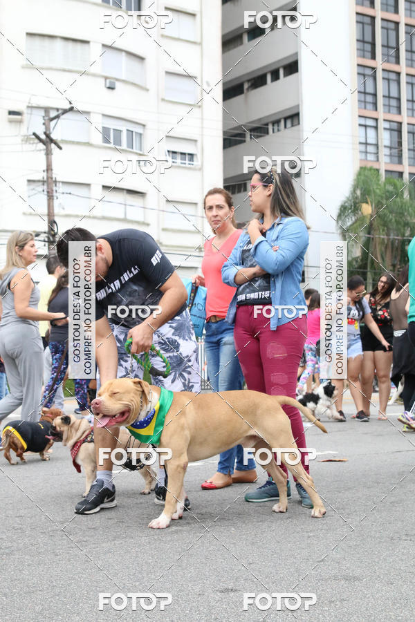 Buy your photos of the event13� C�ominhada - Santos on Fotop