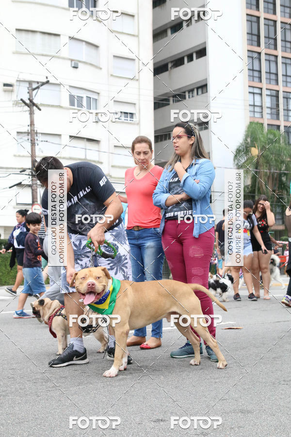 Buy your photos of the event13� C�ominhada - Santos on Fotop