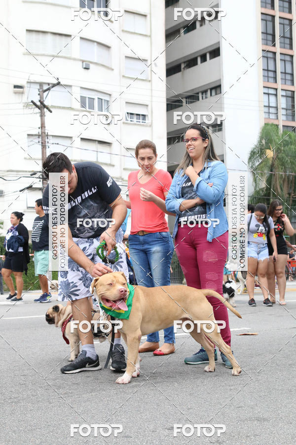 Buy your photos of the event13� C�ominhada - Santos on Fotop