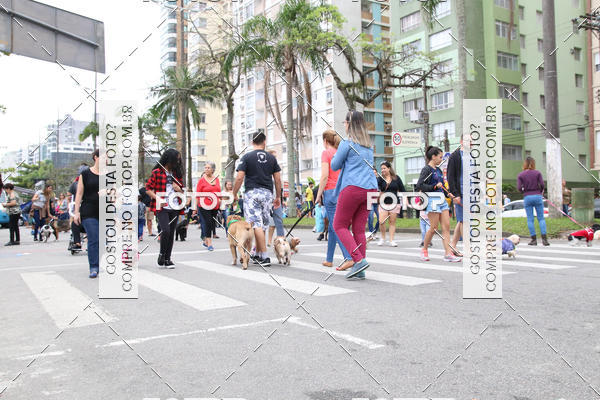 Buy your photos of the event13� C�ominhada - Santos on Fotop