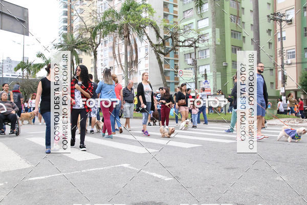 Buy your photos of the event13� C�ominhada - Santos on Fotop