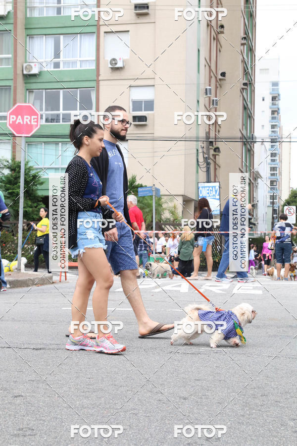 Buy your photos of the event13� C�ominhada - Santos on Fotop