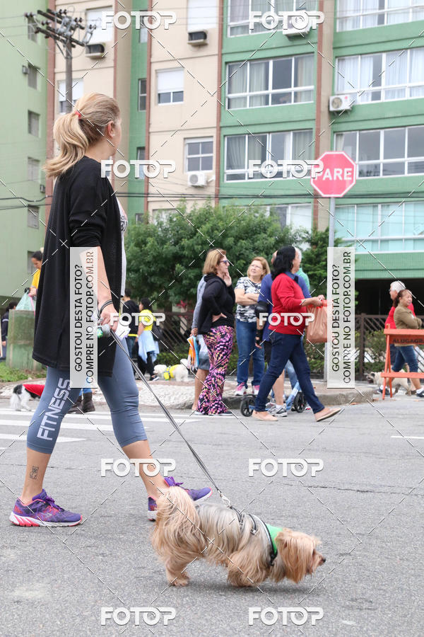 Buy your photos of the event13� C�ominhada - Santos on Fotop