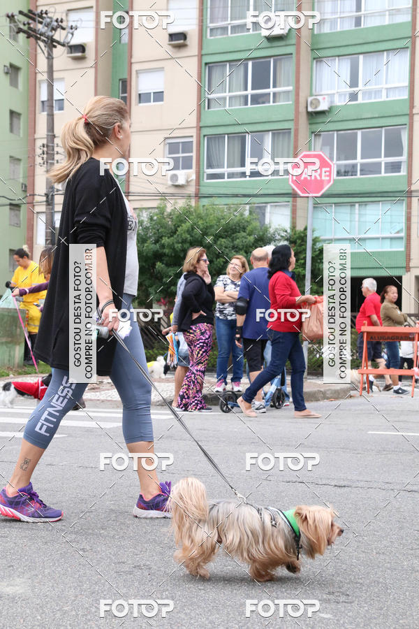 Buy your photos of the event13� C�ominhada - Santos on Fotop