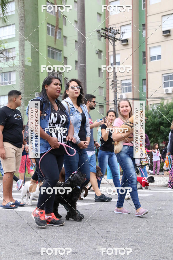 Buy your photos of the event13� C�ominhada - Santos on Fotop