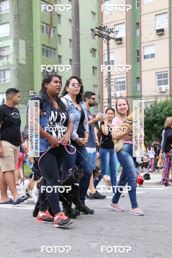 Buy your photos of the event13� C�ominhada - Santos on Fotop