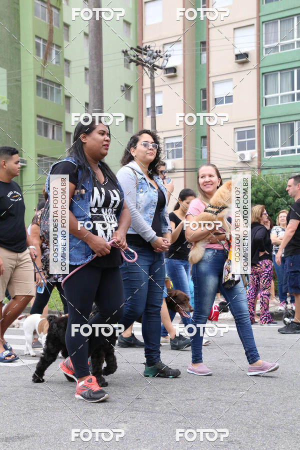 Buy your photos of the event13� C�ominhada - Santos on Fotop