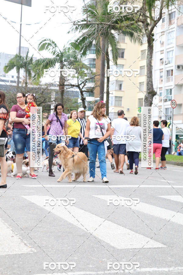 Buy your photos of the event13� C�ominhada - Santos on Fotop