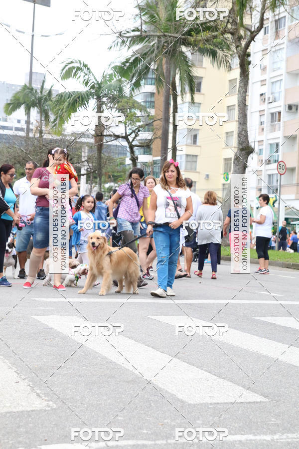 Buy your photos of the event13� C�ominhada - Santos on Fotop