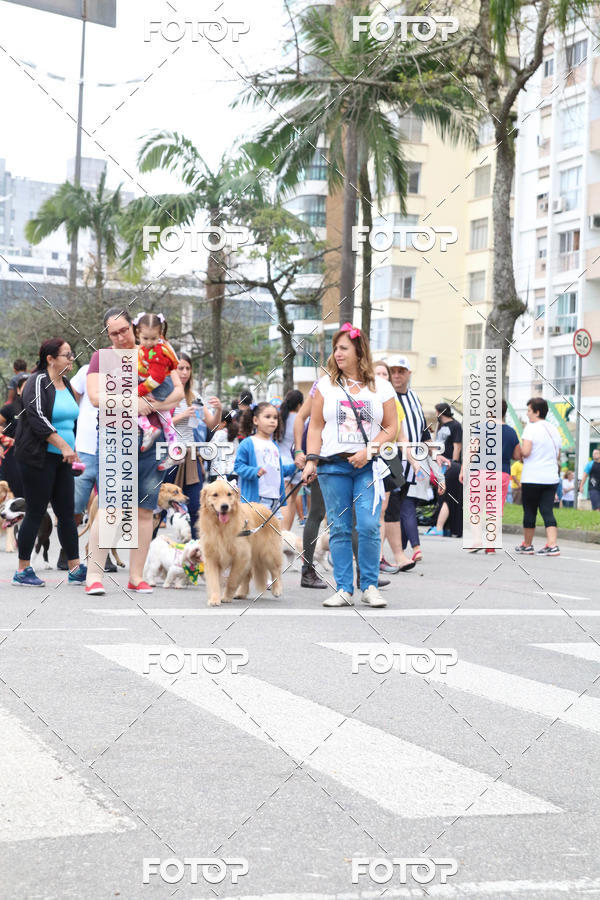 Buy your photos of the event13� C�ominhada - Santos on Fotop