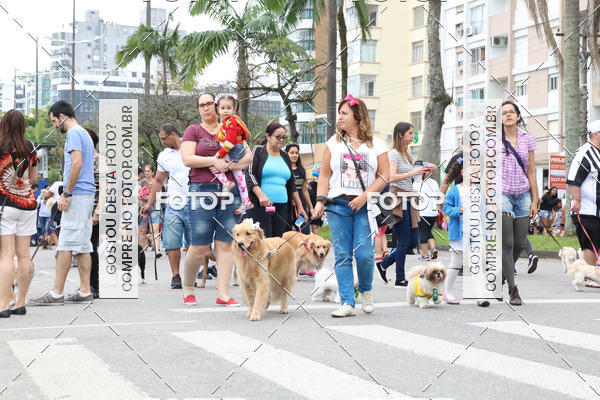 Buy your photos of the event13� C�ominhada - Santos on Fotop