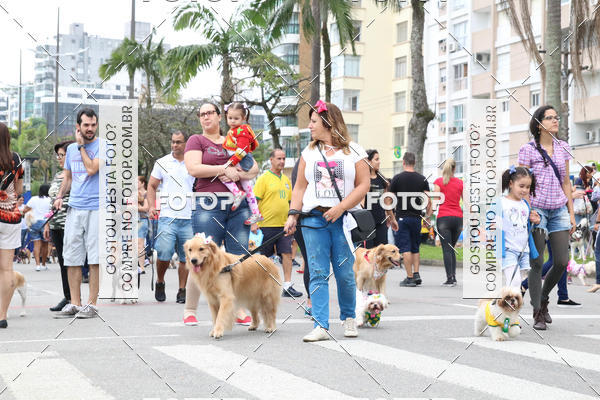 Buy your photos of the event13� C�ominhada - Santos on Fotop