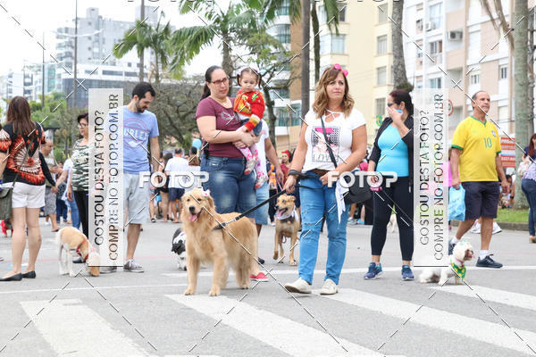 Buy your photos of the event13� C�ominhada - Santos on Fotop