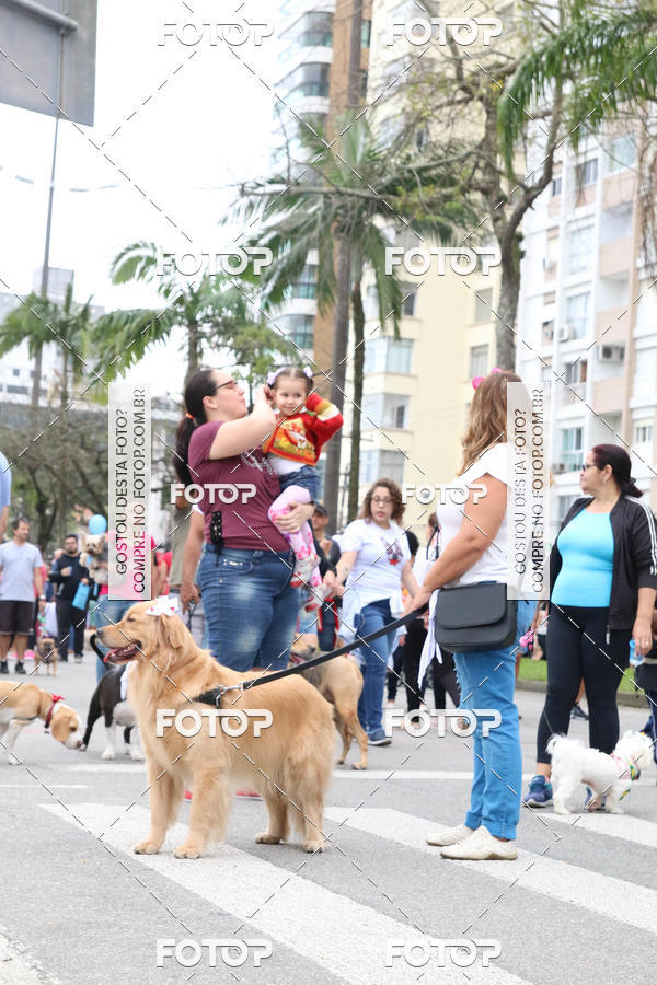 Buy your photos of the event13� C�ominhada - Santos on Fotop