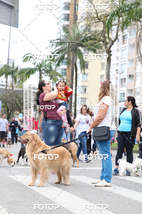 Buy your photos of the event13� C�ominhada - Santos on Fotop