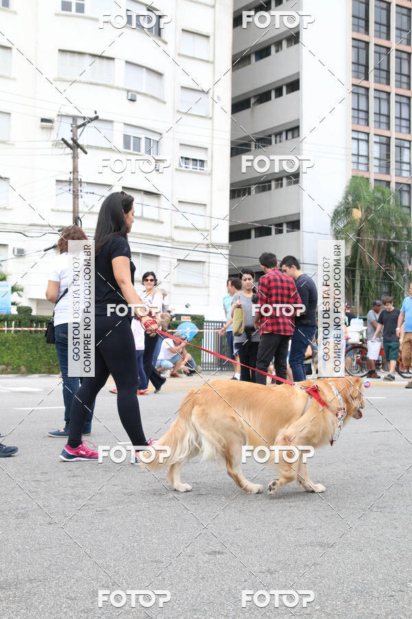 Buy your photos of the event13� C�ominhada - Santos on Fotop