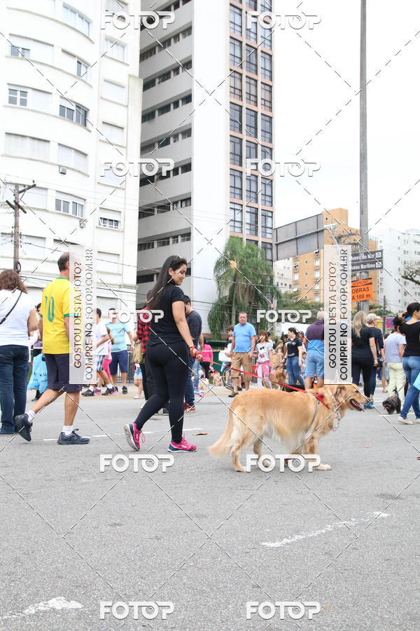 Buy your photos of the event13� C�ominhada - Santos on Fotop