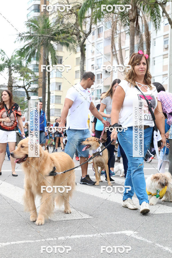 Buy your photos of the event13� C�ominhada - Santos on Fotop