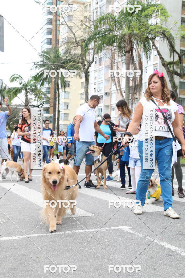Buy your photos of the event13� C�ominhada - Santos on Fotop