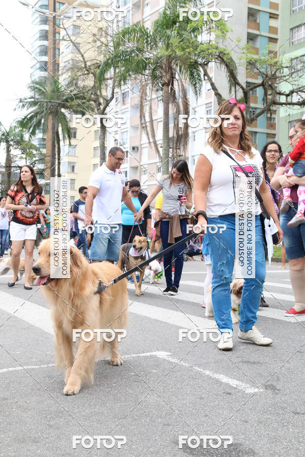 Buy your photos of the event13� C�ominhada - Santos on Fotop