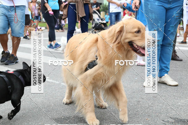 Buy your photos of the event13� C�ominhada - Santos on Fotop