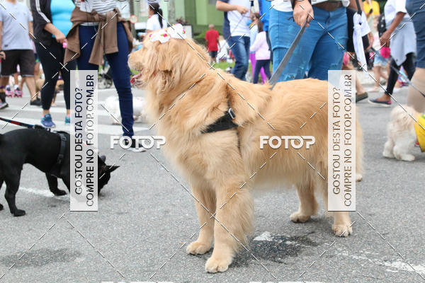 Buy your photos of the event13� C�ominhada - Santos on Fotop