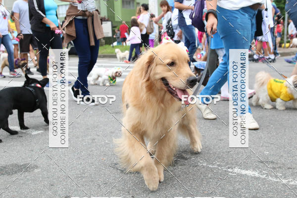 Buy your photos of the event13� C�ominhada - Santos on Fotop