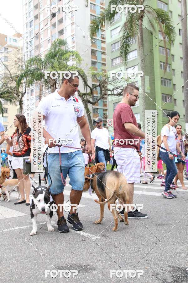 Buy your photos of the event13� C�ominhada - Santos on Fotop