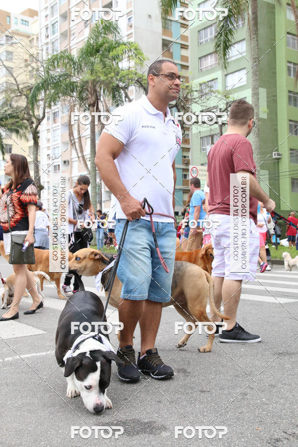 Buy your photos of the event13� C�ominhada - Santos on Fotop