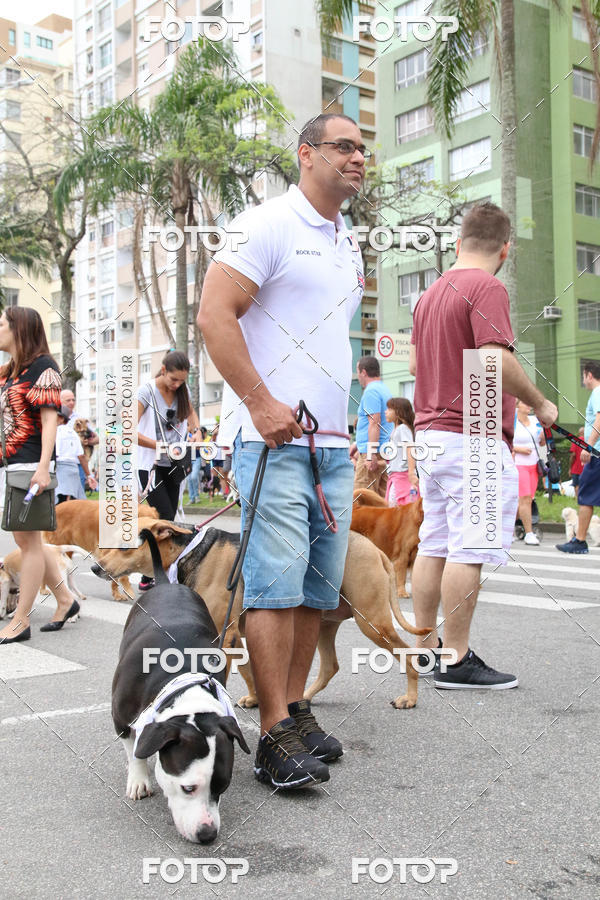 Buy your photos of the event13� C�ominhada - Santos on Fotop