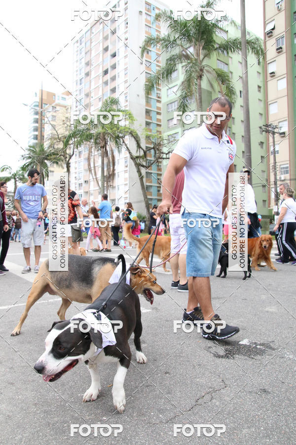 Buy your photos of the event13� C�ominhada - Santos on Fotop