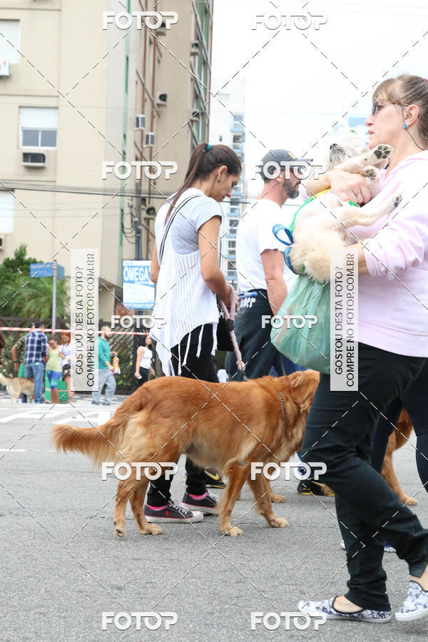 Buy your photos of the event13� C�ominhada - Santos on Fotop