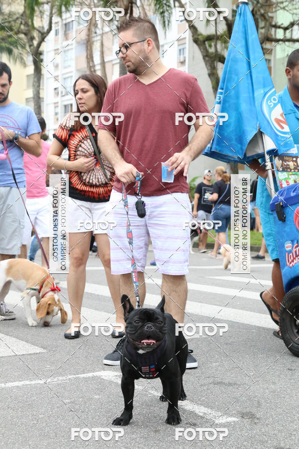 Buy your photos of the event13� C�ominhada - Santos on Fotop