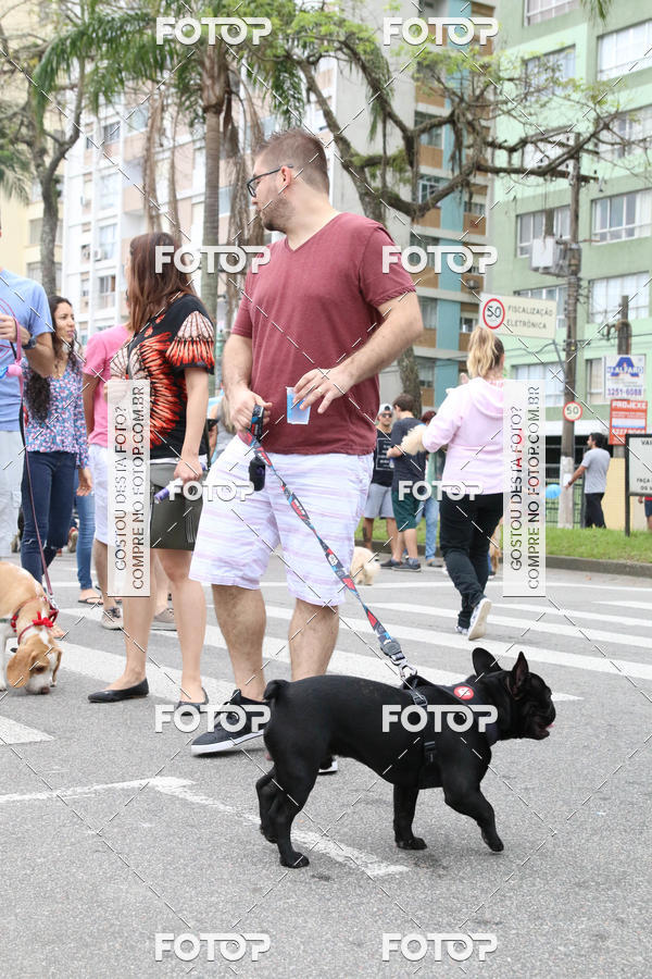 Buy your photos of the event13� C�ominhada - Santos on Fotop