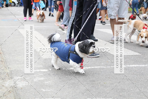 Buy your photos of the event13� C�ominhada - Santos on Fotop