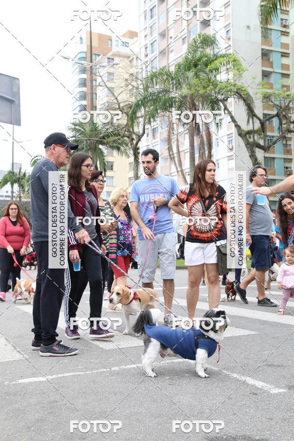 Buy your photos of the event13� C�ominhada - Santos on Fotop