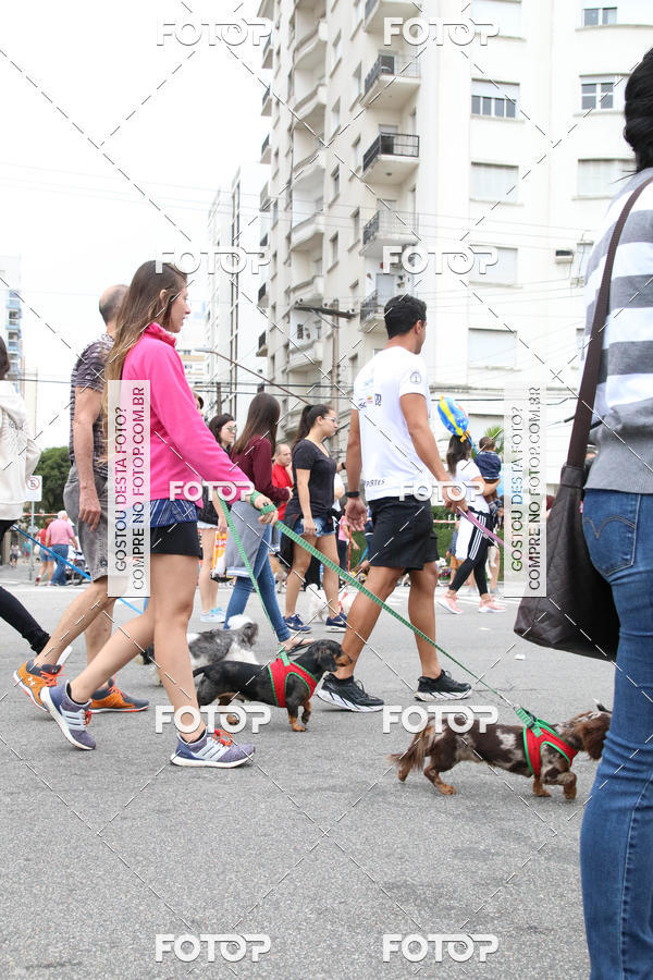 Buy your photos of the event13� C�ominhada - Santos on Fotop