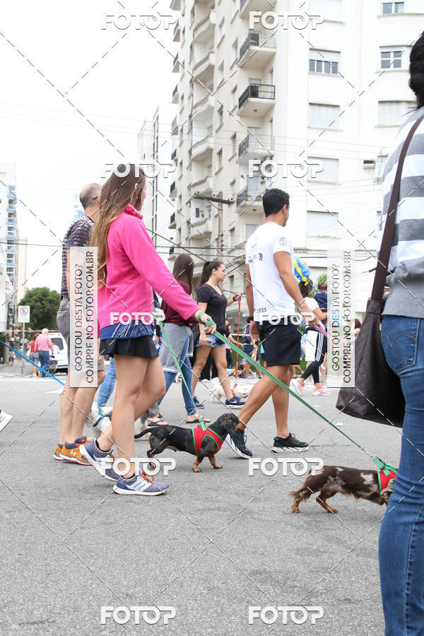 Buy your photos of the event13� C�ominhada - Santos on Fotop