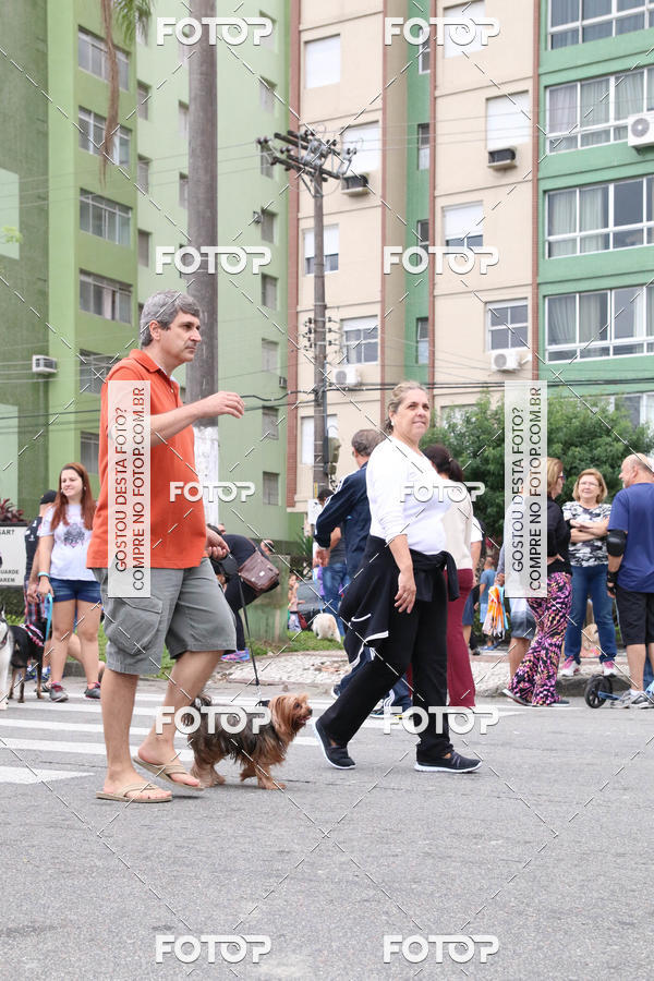 Buy your photos of the event13� C�ominhada - Santos on Fotop