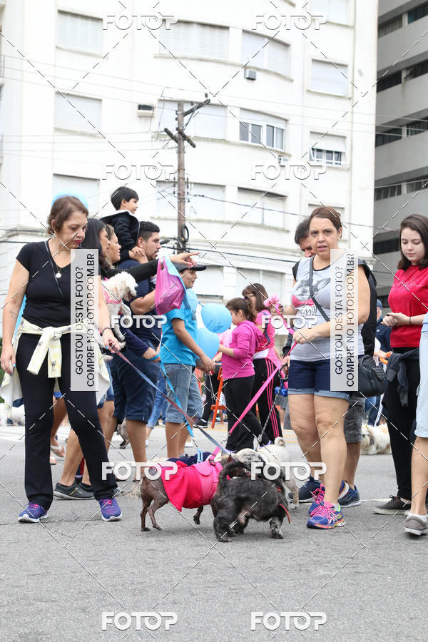 Buy your photos of the event13� C�ominhada - Santos on Fotop