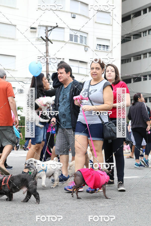 Buy your photos of the event13� C�ominhada - Santos on Fotop