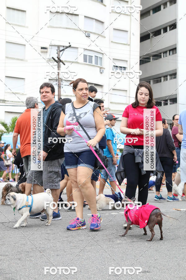 Buy your photos of the event13� C�ominhada - Santos on Fotop